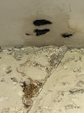 Plafond sacristie
